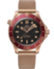 Seamaster Diver 300m / 42mm