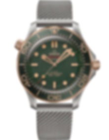 Seamaster Diver 300m / 42mm