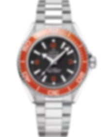 Seamaster Planet Ocean 600M / 42mm