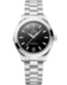 Seamaster Aqua Terra 150m / 30mm