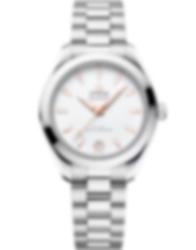 Seamaster Aqua Terra 150m / 30mm