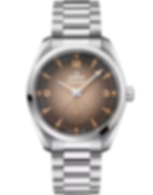 Seamaster Railmaster / 38mm
