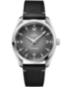 Seamaster Railmaster / 38mm