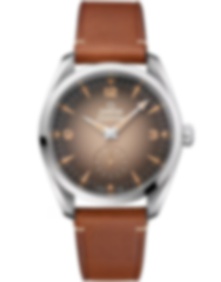 Seamaster Railmaster / 38mm