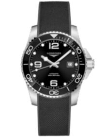 HydroConquest / 41mm