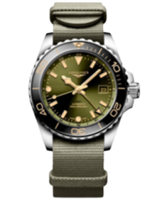 HydroConquest GMT / 41mm