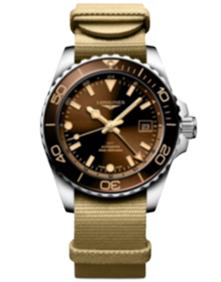 HydroConquest GMT / 41mm