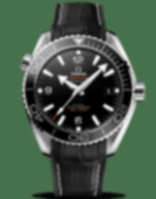 Seamaster Planet Ocean 600M / 43.5mm
