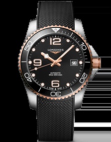 HydroConquest / 41mm