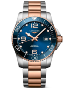 HydroConquest / 41mm