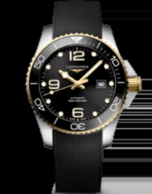 HydroConquest / 43mm