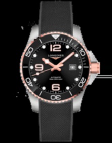 HydroСonquest / 43mm