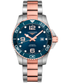 HydroСonquest / 43mm