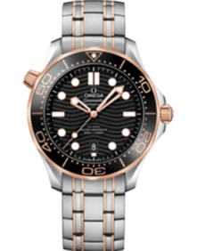 Diver 300m Co Axial Master Chronometer / 42mm