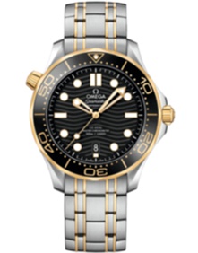 Diver 300m Co Axial Master Chronometer / 42mm