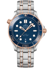 Diver 300m Co Axial Master Chronometer / 42mm