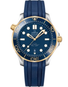 DIVER 300M CO‑AXIAL MASTER CHRONOMETER / 42mm