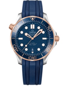 Seamaster Diver 300m Co Axial Master Chronometer / 42mm