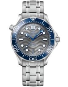 Diver 300m Co Axial Master Chronometer / 42mm