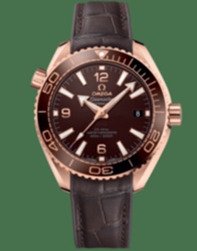 Planet Ocean 600m Co Axial Master Chronometer / 39.5mm