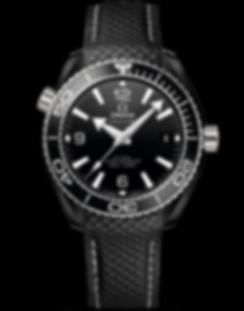 Seamaster Planet Ocean 600m / 39.5mm