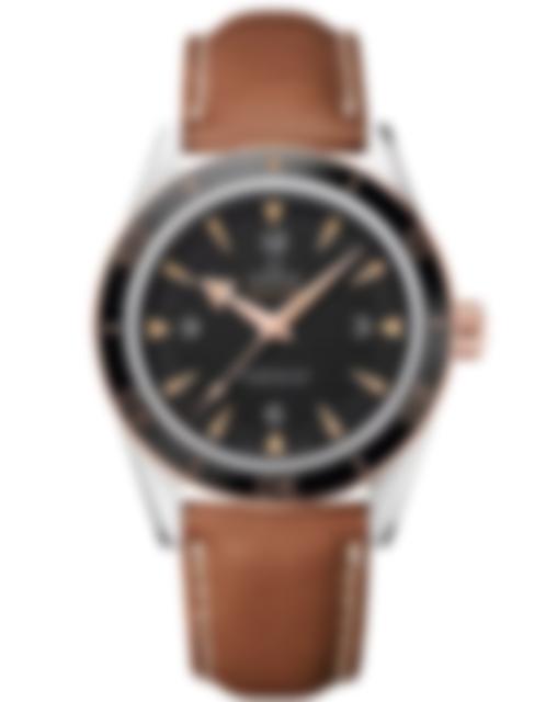 Men's watch / unisex  OMEGA, Seamaster / 41mm, SKU: 233.22.41.21.01.002 | watchphilosophy.co.uk