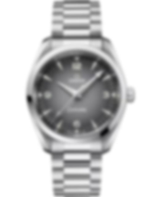 Men's watch / unisex  OMEGA, Seamaster Railmaster / 38mm, SKU: 235.10.38.20.06.001 | watchphilosophy.co.uk