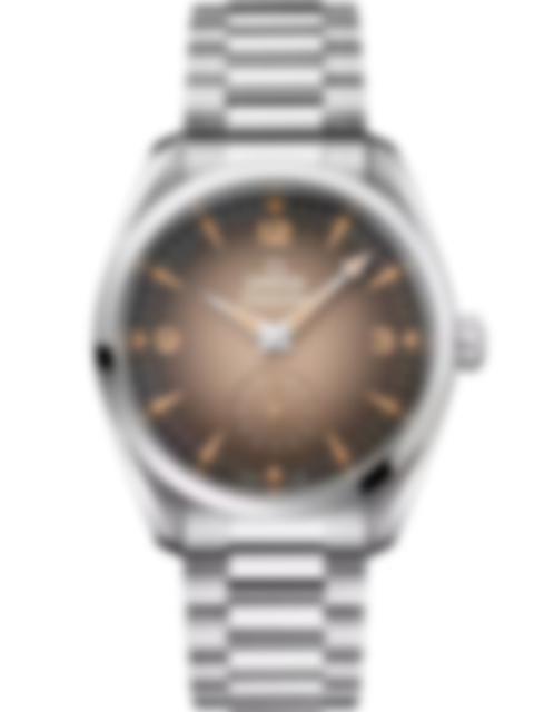 Men's watch / unisex  OMEGA, Seamaster Railmaster / 38mm, SKU: 235.10.38.20.13.001 | watchphilosophy.co.uk