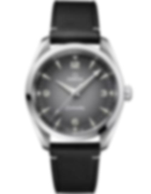 Men's watch / unisex  OMEGA, Seamaster Railmaster / 38mm, SKU: 235.12.38.20.06.001 | watchphilosophy.co.uk