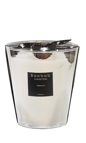  BAOBAB COLLECTION, Platinum Max 16, SKU: MAX16PLA | watchphilosophy.co.uk