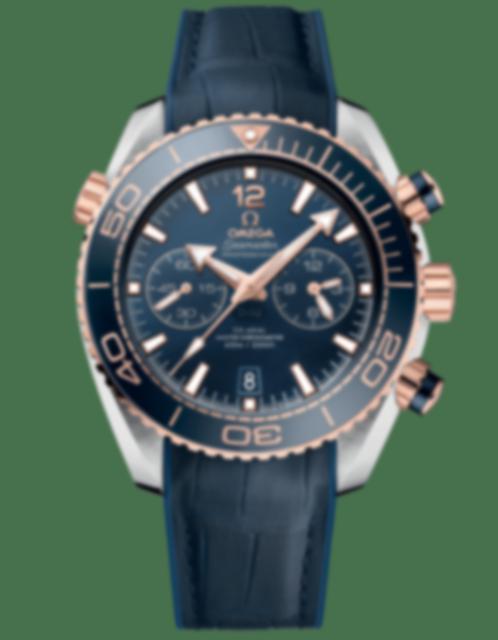 Men's watch / unisex  OMEGA, Planet Ocean 600m Co Axial Master Chronometer / 45.5mm, SKU: 215.23.46.51.03.001 | watchphilosophy.co.uk